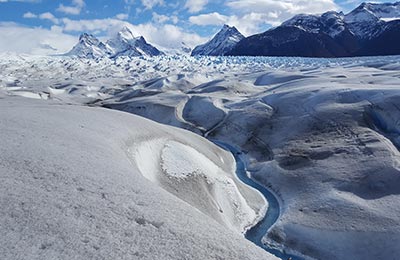 Calafate