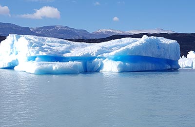 Calafate