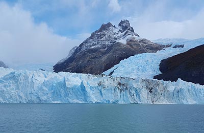 Calafate