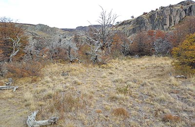 Chaltén