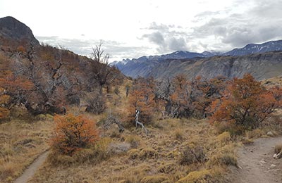 Chaltén