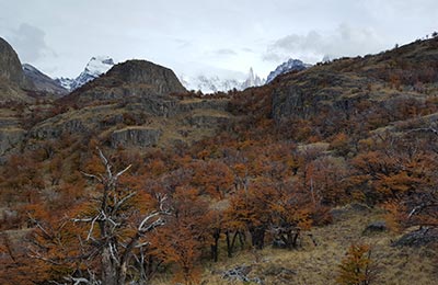 Chaltén