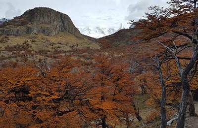 Chaltén