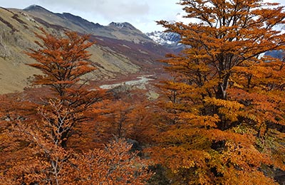 Chaltén