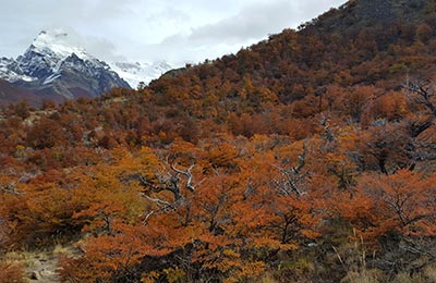 Chaltén