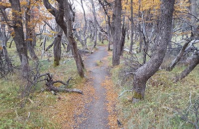 Chaltén