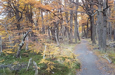 Chaltén