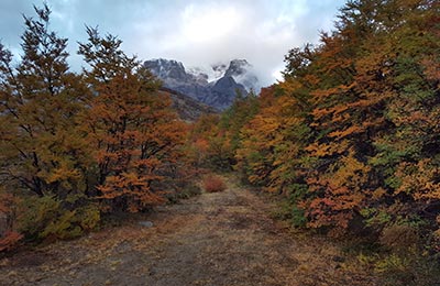 Chaltén