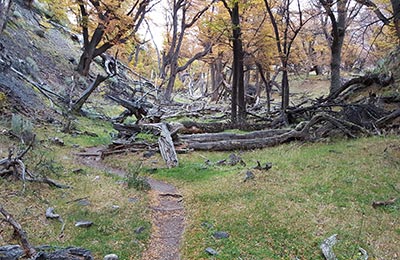 Chaltén