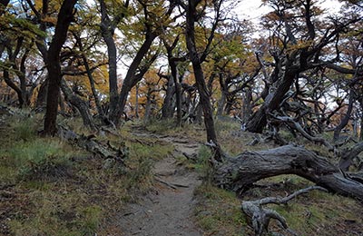 Chaltén