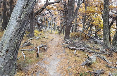 Chaltén