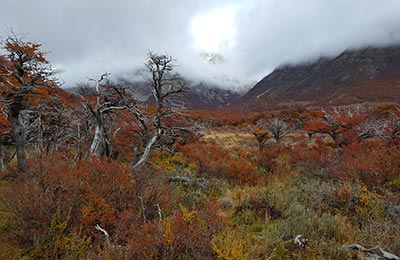 Chaltén