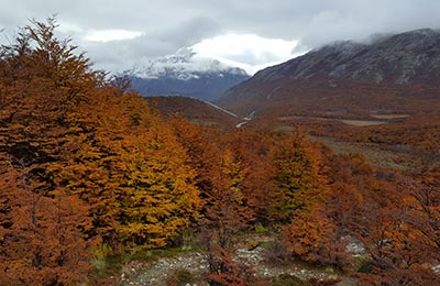 Chaltén