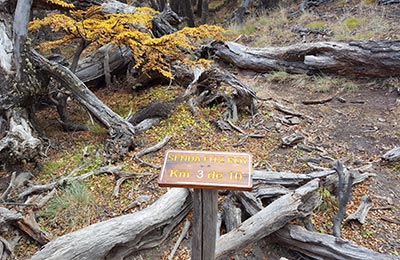 Chaltén