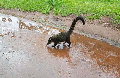 Iguazú