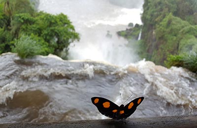 Iguazú