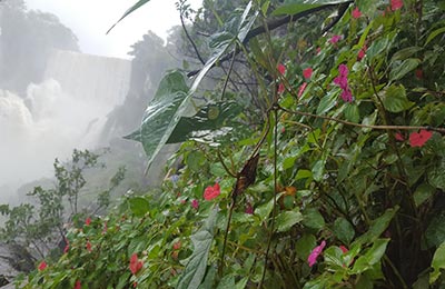 Iguazú