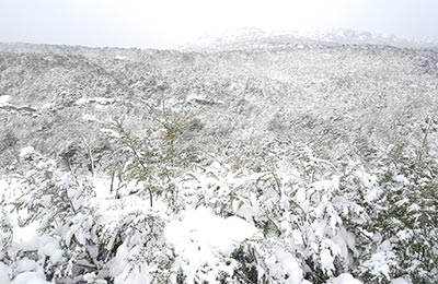 Ushuaia