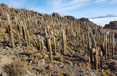 Salar de Uyuni