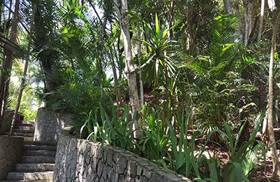 Río de Janeiro