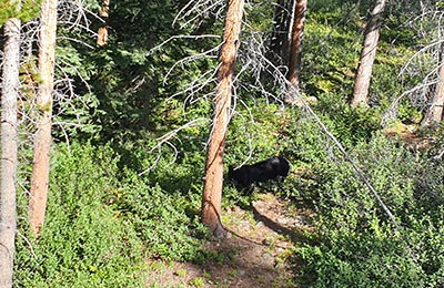 Parque Nacional de Banff