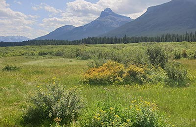 Banff