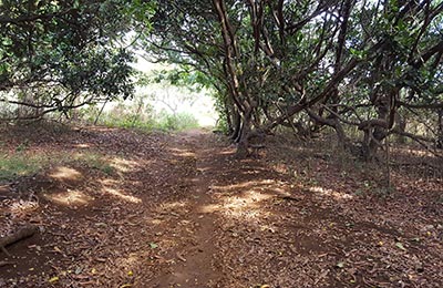 Isla de Pascua