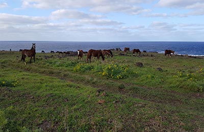 Isla de Pascua