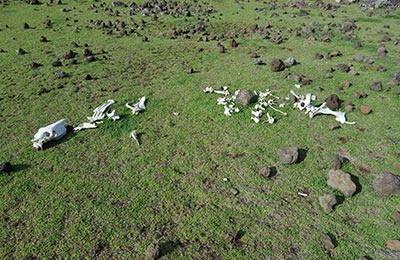 Isla de Pascua