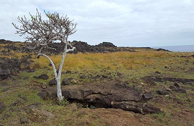 Isla de Pascua