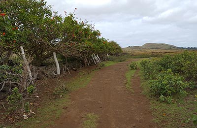 Isla de Pascua