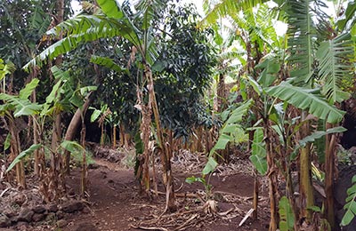 Isla de Pascua