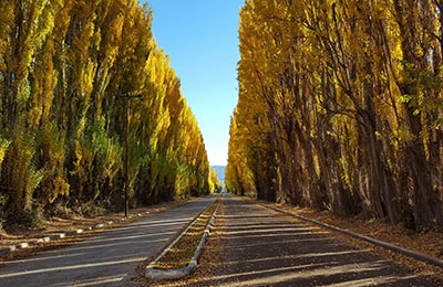 Puerto Río Tranquilo