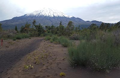 Puerto Varas y Petrohué