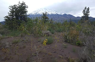 Puerto Varas y Petrohué