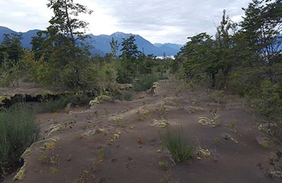 Puerto Varas y Petrohué