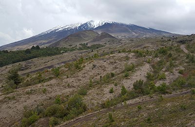 Puerto Varas y Petrohué