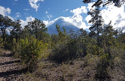 Puerto Varas y Petrohué