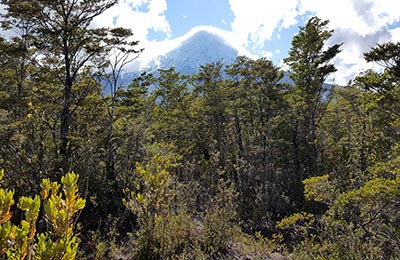 Puerto Varas y Petrohué