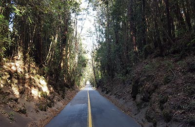 Puerto Varas y Petrohué