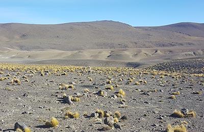 San Pedro de Atacama