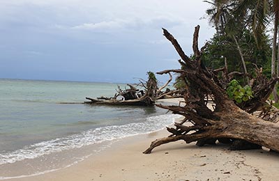 Cahuita