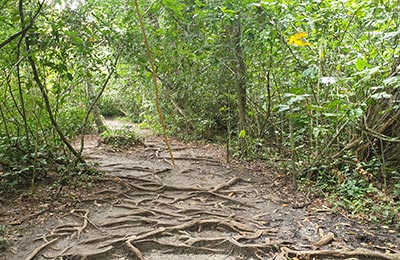 Cahuita