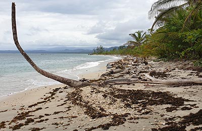 Cahuita