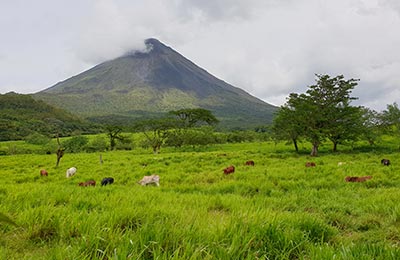 La Fortuna