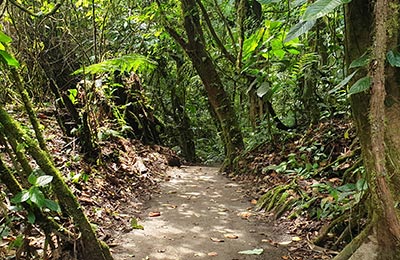 La Fortuna