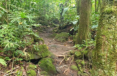 La Fortuna