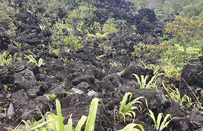 La Fortuna