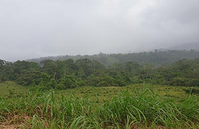 La Fortuna