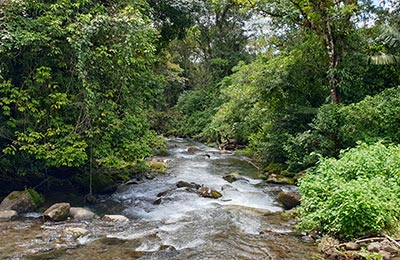 La Fortuna